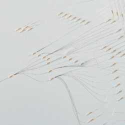 Visual representation of the international experience superpower: building global network connections.