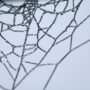Abstract image representing network connections, symbolizing the importance of showcasing your skills to build professional relationships.