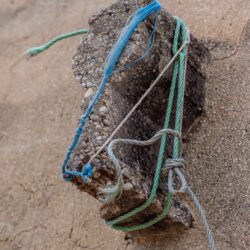 Abstract image representing resilience in the face of job search rejection.