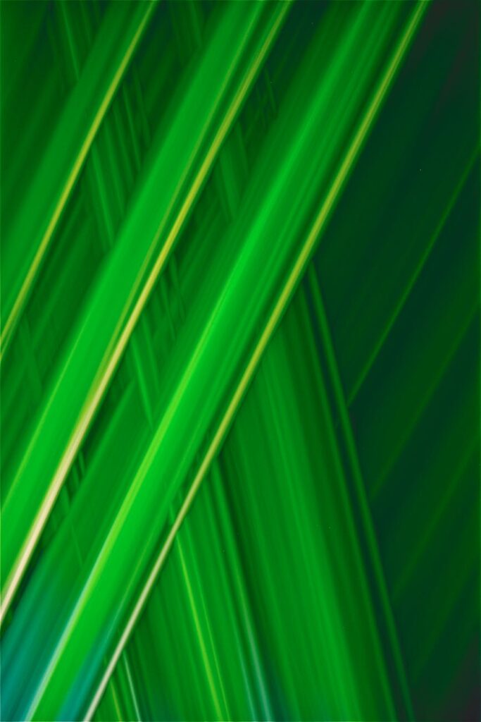 Dynamic growth pattern visualization, reflecting career progression and how to showcase it when answering the 'tell me about yourself' interview question.