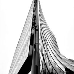 Abstract image representing growth, symbolizing the potential of student financial wellness.