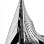 Abstract image representing growth, symbolizing the potential of student financial wellness.