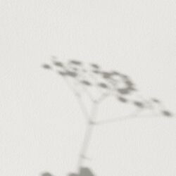 Abstract image representing growth and development, symbolizing the career benefits of including a side hustle resume.
