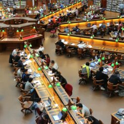 A focused college student works on their scholarship applications on a laptop in a well-lit library.