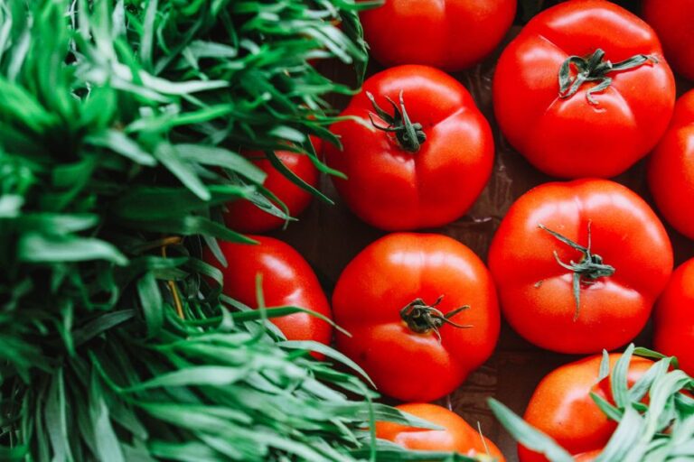 5 Brilliant Ways the Pomodoro Technique for Studying Boosts Focus